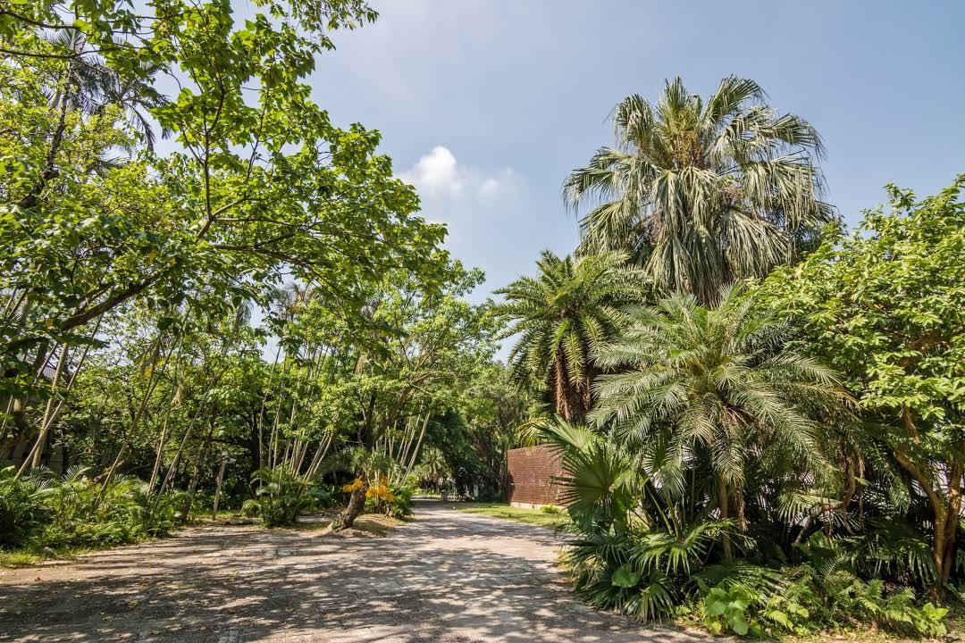 Parc créatif et culturel de Songshan