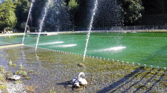 Baignade Biologique