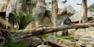 Zoo Bioparc Fuengirola