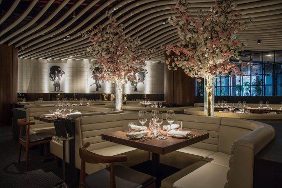 STK Dubai JBR