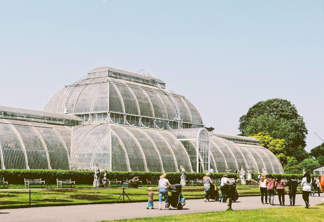 Jardins botaniques royaux de Kew
