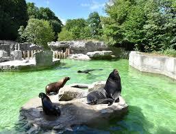 Zoo de Munich