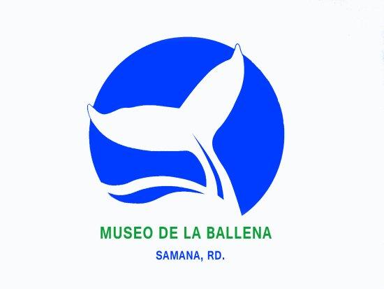 Musée des baleines
