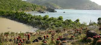 Réserve Naturelle Nationale de Saint-Martin