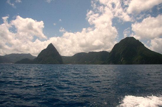 The Real Deal Boat Tours