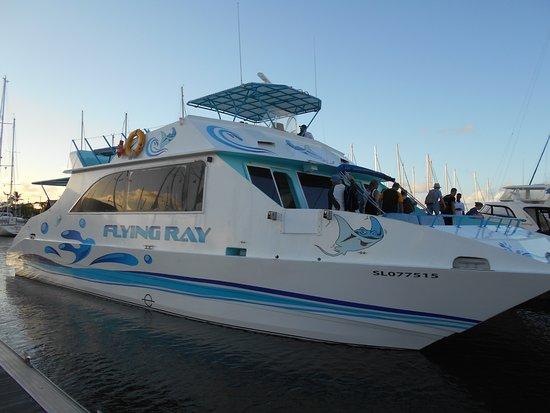 St. Lucian Wave Riders