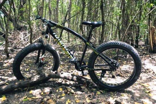 FatBike Adventures