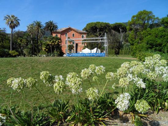 Museum of merletto