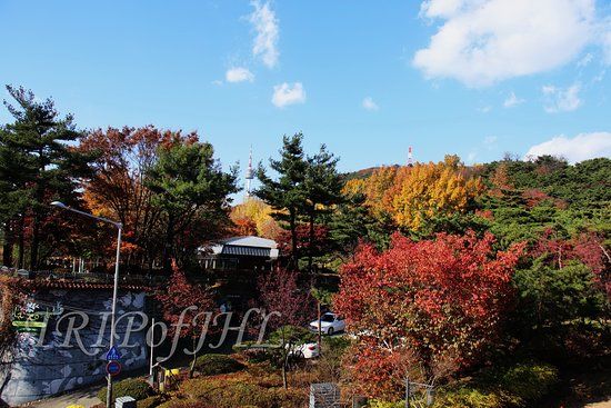 Jardin botanique de Namsan