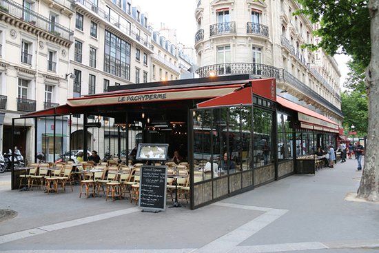 Le Pachyderme
