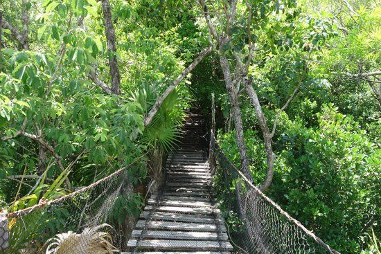 Jardin botanique Dr. Alfredo Barrera Marín