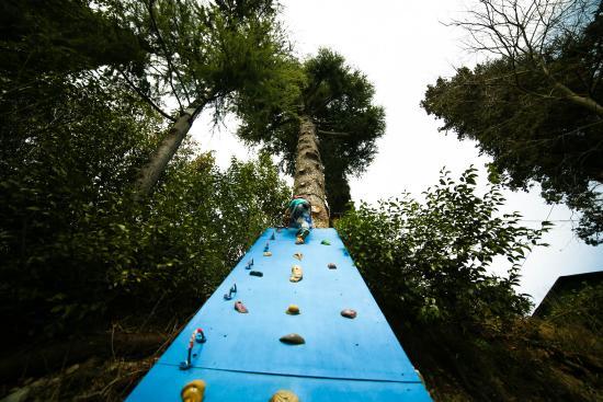 Parc Aventure Rimbalzello Adventure