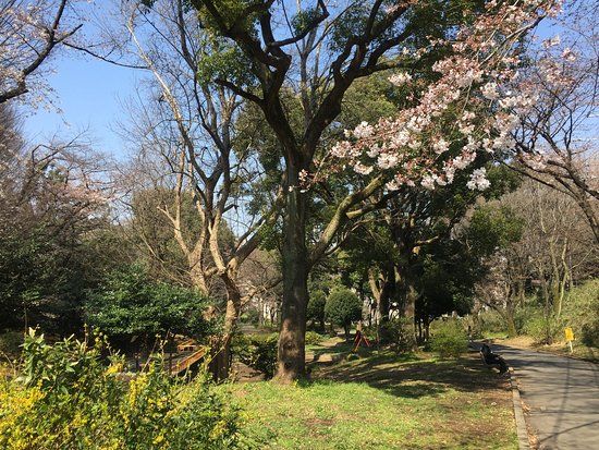 Parc de Toyama