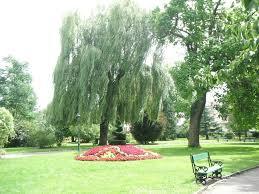 Jardin anglais