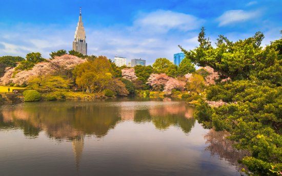 Jardin impérial de Shinjuku